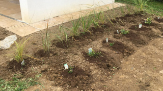Projekt - Záhrada, ktorá učí 