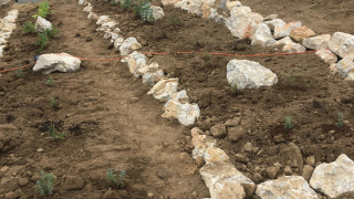 Projekt - Záhrada, ktorá učí 