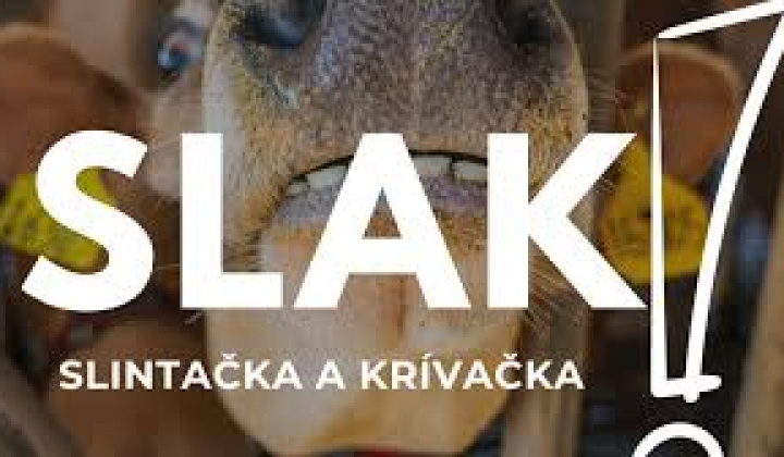 Fotka - Aktuálne informácie ohľadom SLAK